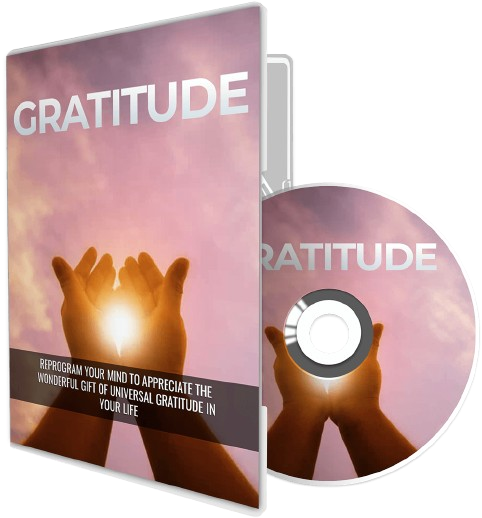 Wealth Brain Code Bonus1